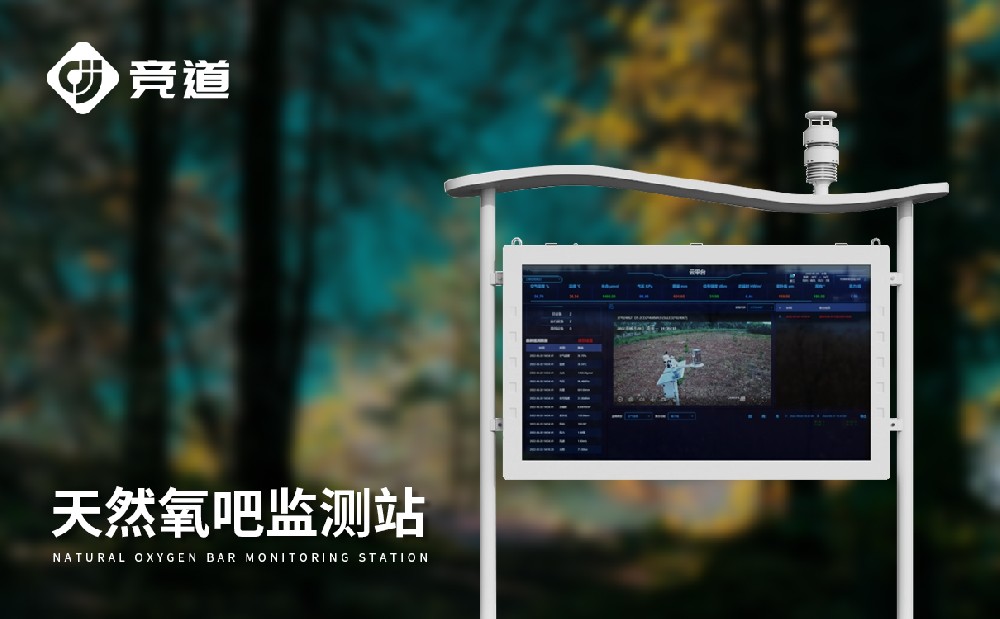 公園負(fù)氧離子設(shè)備廠家推薦山東競道光電