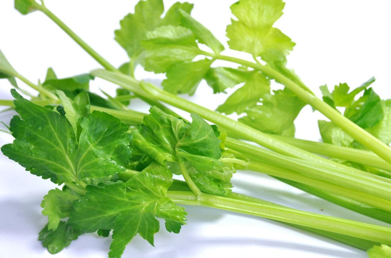 蔬菜是個(gè)寶，這些部位也更好！