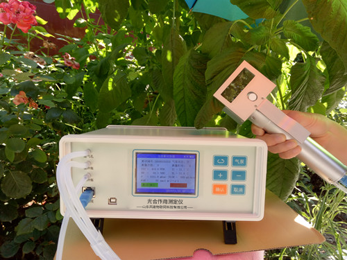 植物氣孔針有何應(yīng)用？