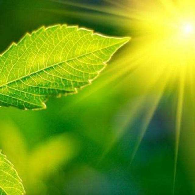 便攜式光合作用測定儀操作注意事項 便攜式光合作用測定儀操作注意事項